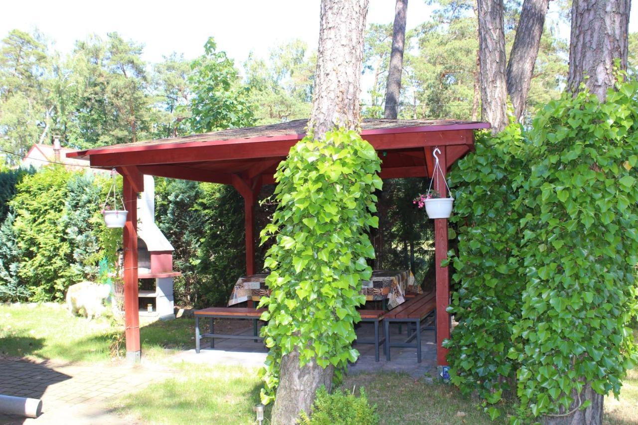 Dom Pod Sosnami Bed and Breakfast Mielno  Eksteriør billede